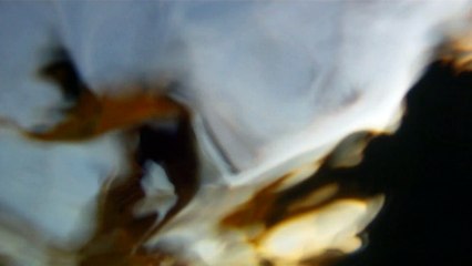 Passeio marítimo em Ubatuba, Praia da Enseada, Litoral Norte, SP, Brasil