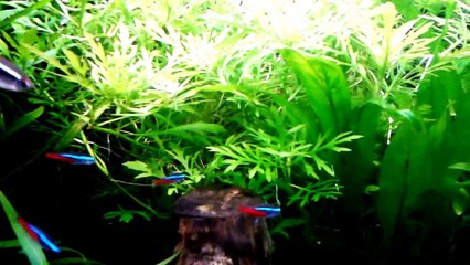 08.Szpital na peryferiach.