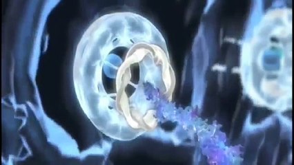 DNA, The encyclopedia of complex codes & letters