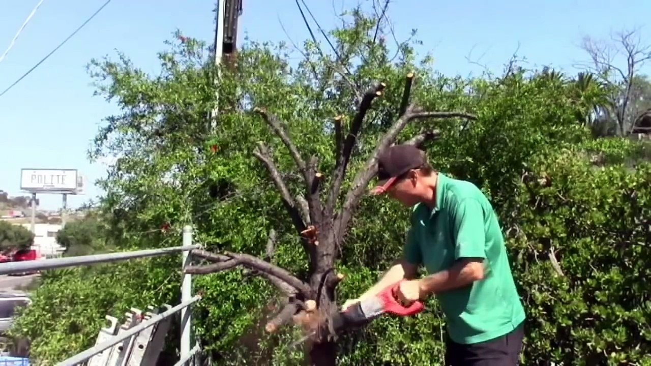 Milwaukee Brushless FUEL Sawzall vs Milwaukee Corded Sawzall