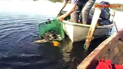 Lough Allen Fishing