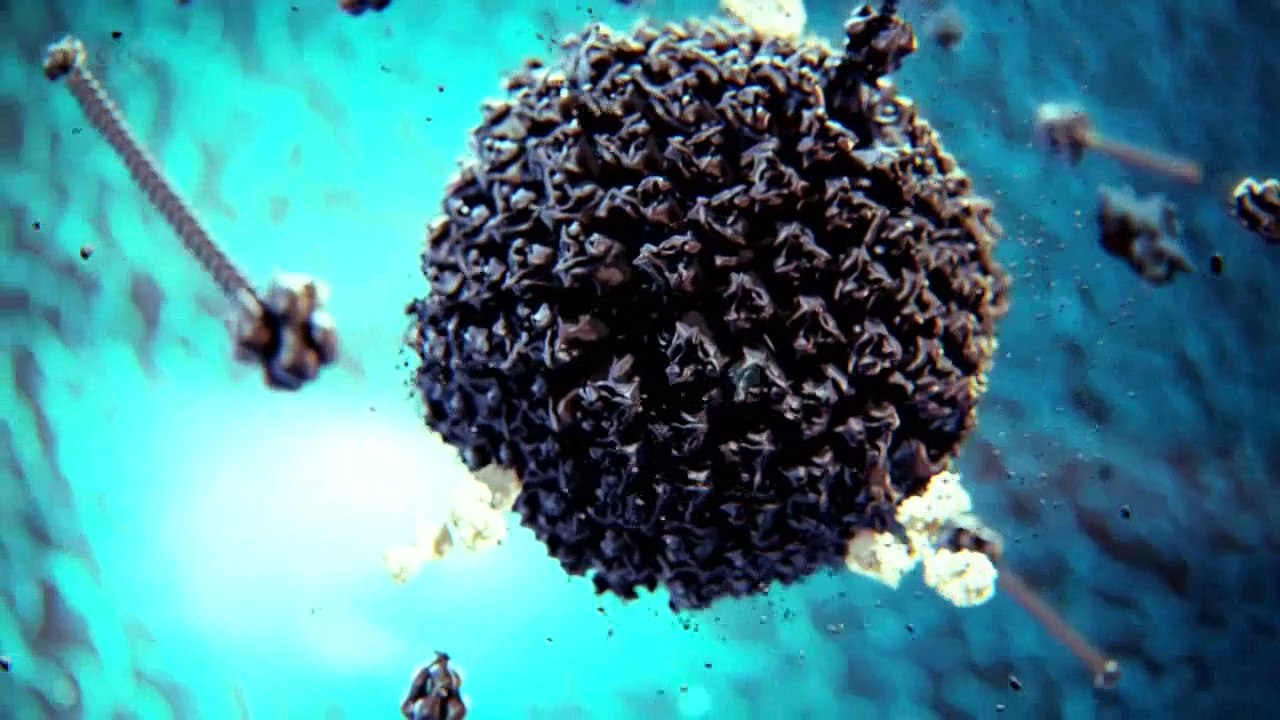 الحياة الخفية للخلية وسر الكون - Our Secret Universe The Hidden Life of the Cell