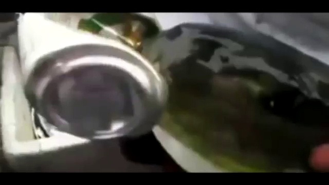 Λαγοκέφαλος ή Λαγόψαρο (Lagocephalus sceleratus)