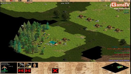 AOE Thái Bình + MeoMeo vs Hà Nội 11 01 2014 C2 2