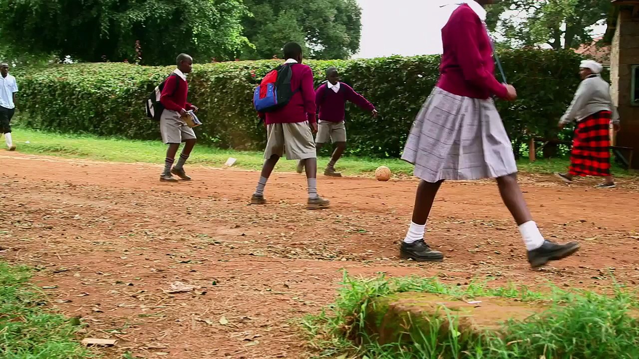 Epilepsy Film