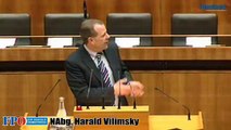 Kriminalität in Österreich - Vilimsky, FPÖ