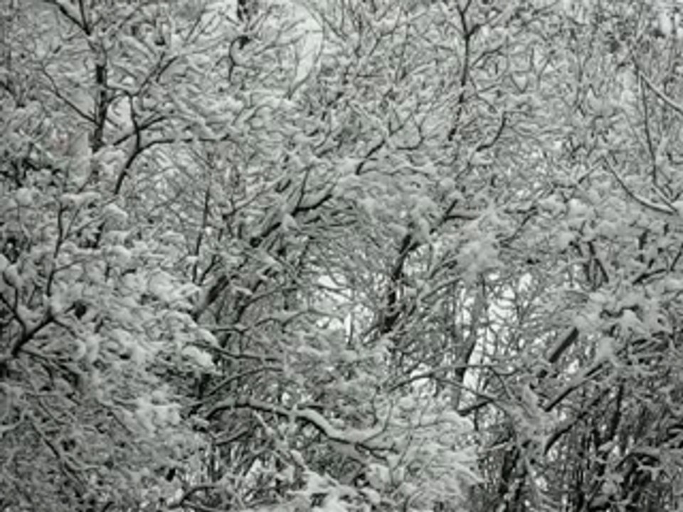Neige 12avril2007