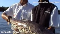 (3-4) Pesca en Ituzaingó con Cuca Excursiones (Corrientes, Argentina) - Zona Safari TV