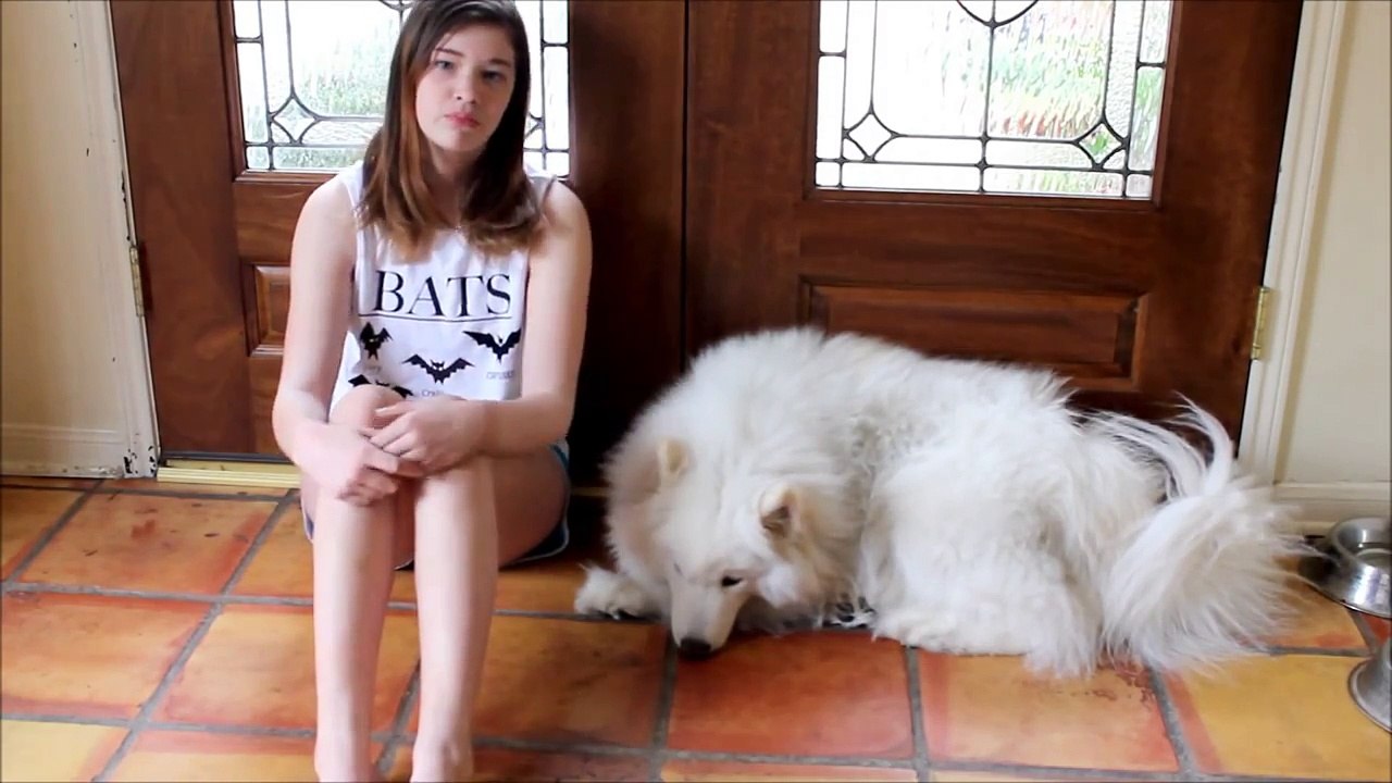 ❤Furry Friend Tag w/ Bae❤