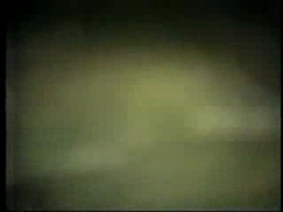 Levi Dexter & The Rockats- Live 1979