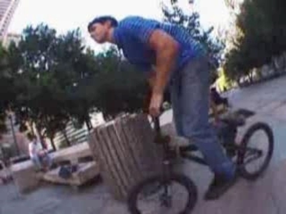 Bmx Champion Steve Hamilton