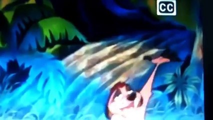 Cartoon Cartoons' Timon and Pumbaa (with animaniacs) bug-Blooper intro