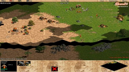 AOE G_Des vs Bibi solo Assyrian 07-01-2014 C2T1