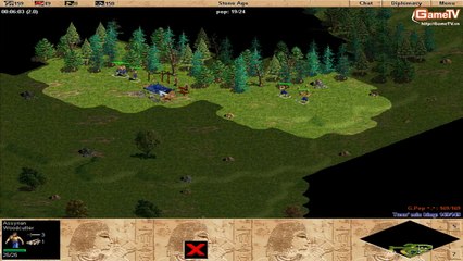 AOE G_Des vs G_PEP solo Assyrian 07-01-2014 C1T2