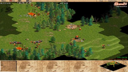 AOE G_Des vs Bibi solo Assyrian 07-01-2014 C2T3