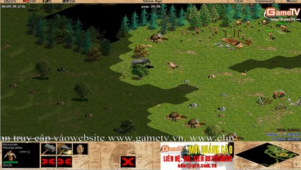 AOE Solo Assyrian Bibi vs G Pep  6 1 2013 C1T4