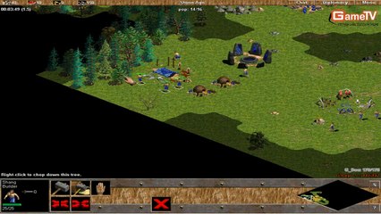 AOE solo shang G Des vs G Pep 3 1 2014 c1T1