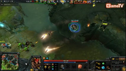 NaVi vs FlipSide SLTV SS8 6 1 2014