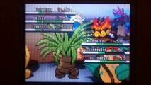 Pokemon Black & White Drought Team - Triple Battle #3 Wi-Fi Random Matchup