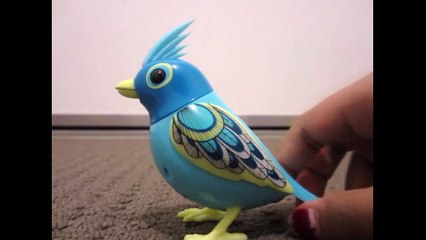 Naming DigBird (READ DESCRIPTION)