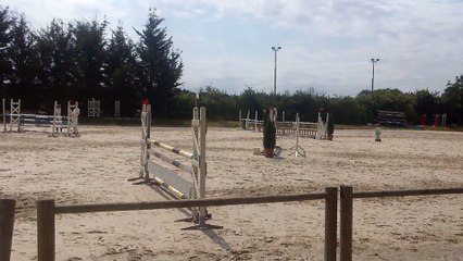 Arsene des Iris - CSO CCE 5 ans A - 07/08/2015