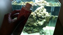Nano Aquarium 7.9 Gallon Reef - Saltwater (Update 2)