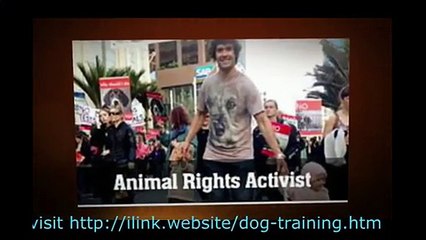 Biting Dogs How To Stop It