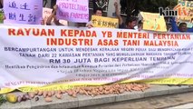 Lebih 100 petani, penternak Perak demo sayur di Putrajaya