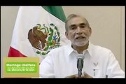MORINGA OLEIFERA INICIATIVA MEXICO EL ARBOL MILAGROSO