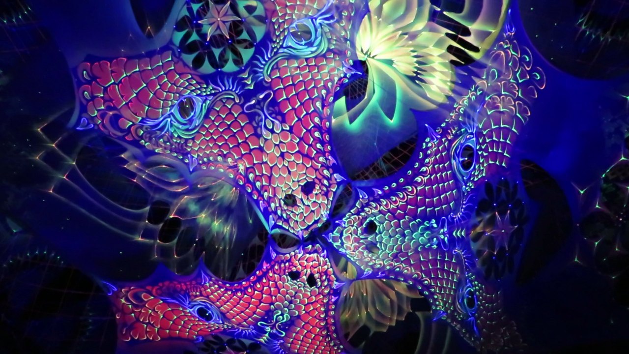 Dj Psyberpunk - Summer Never Ends Festival 2015 - Grisson Swiss