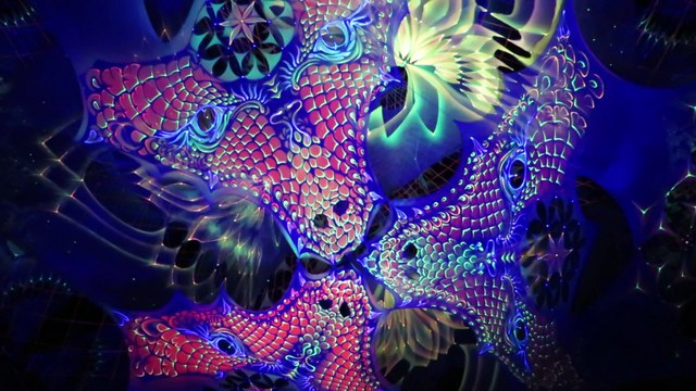 Dj Psyberpunk - Summer Never Ends Festival 2015 - Grisson Swiss