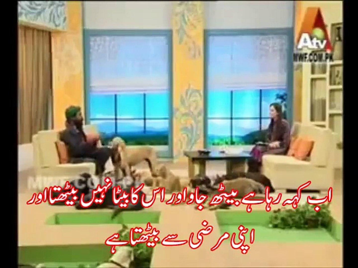 Pakistani Media