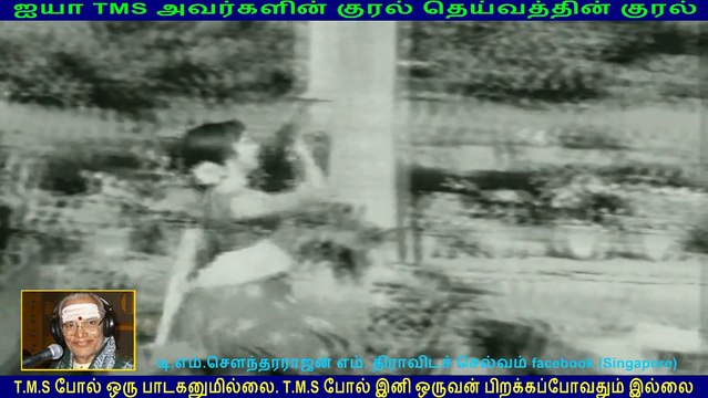 Ethiroli (1970) (TMS Legend) 207