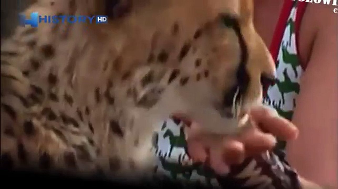 Cheetah attacked reporter and mutilated her