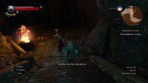 Lets Play The Witcher 3: Wild Hunt (PS4) P.30 Nithral