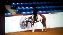 2012 APHA World Show 3YO Nov horse Western Pleasure- Only in the Money