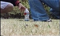 Toilet bowl cleaner and aluminum foil explosion