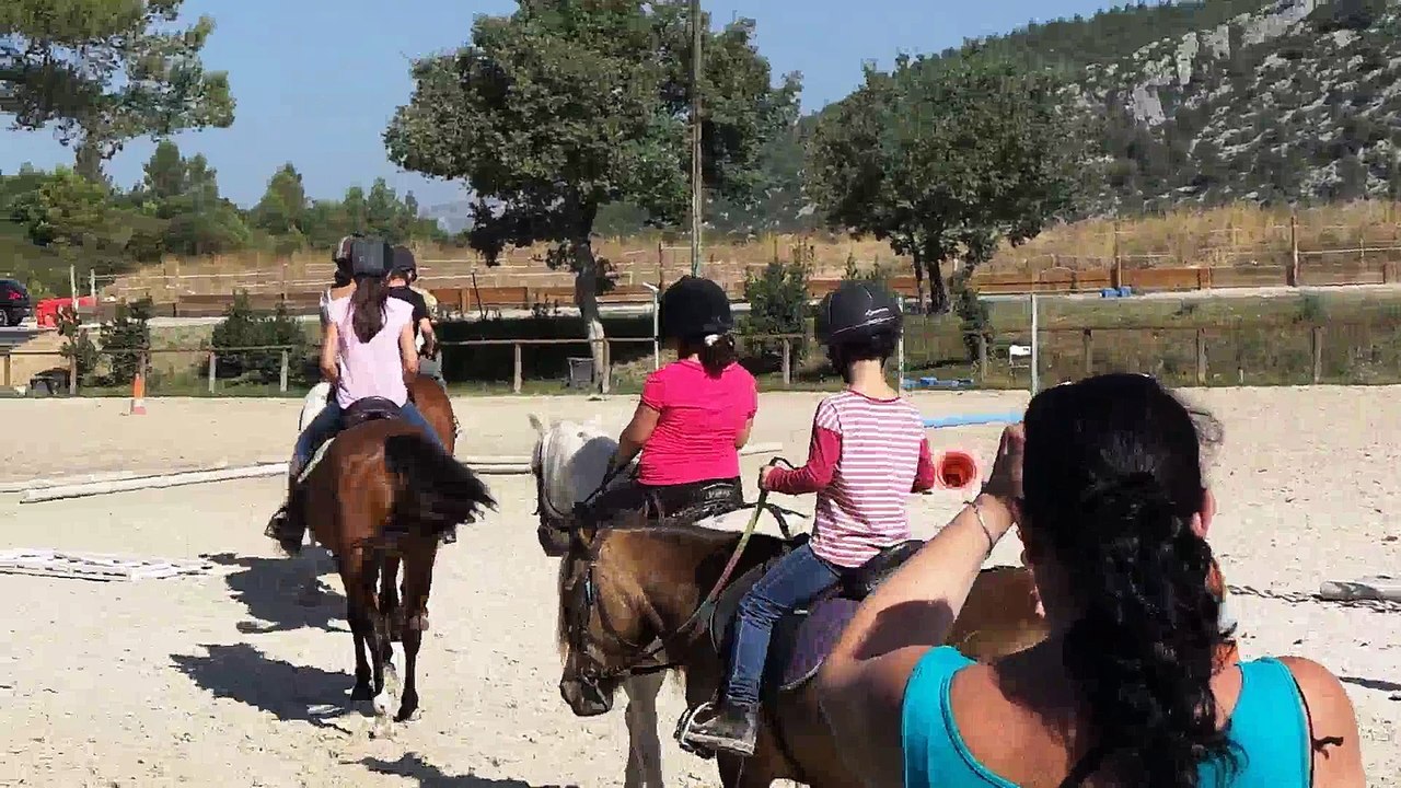 vic cheval aout 2015