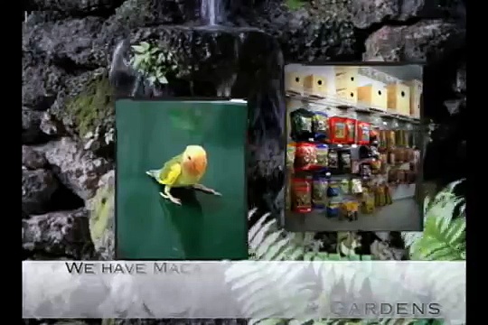 AVIARY BIRD SHOP EXOTIC PARROTS SUPPLIES SUPPLY MIAMI FLORI