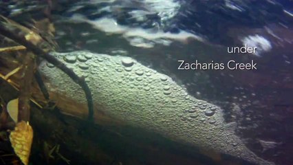 Under Zacharias Creek