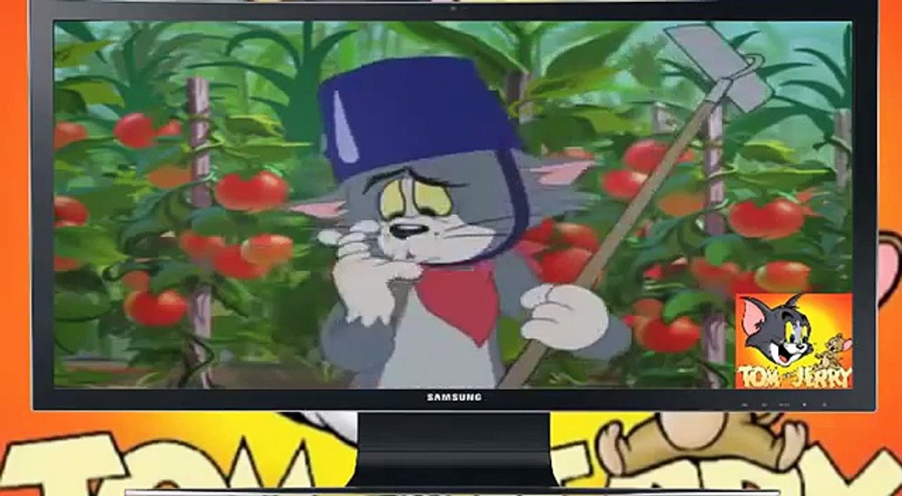 tom and jerry 2015 cartoon