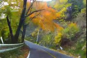 紅葉 - ツーリング - Harley FLSTC - Autumn leaf color x2