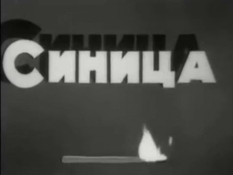 Синица (1944)