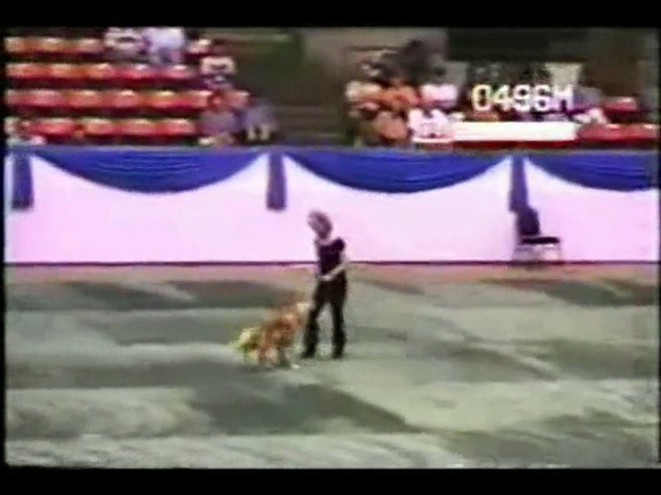 BORN TO DANCE