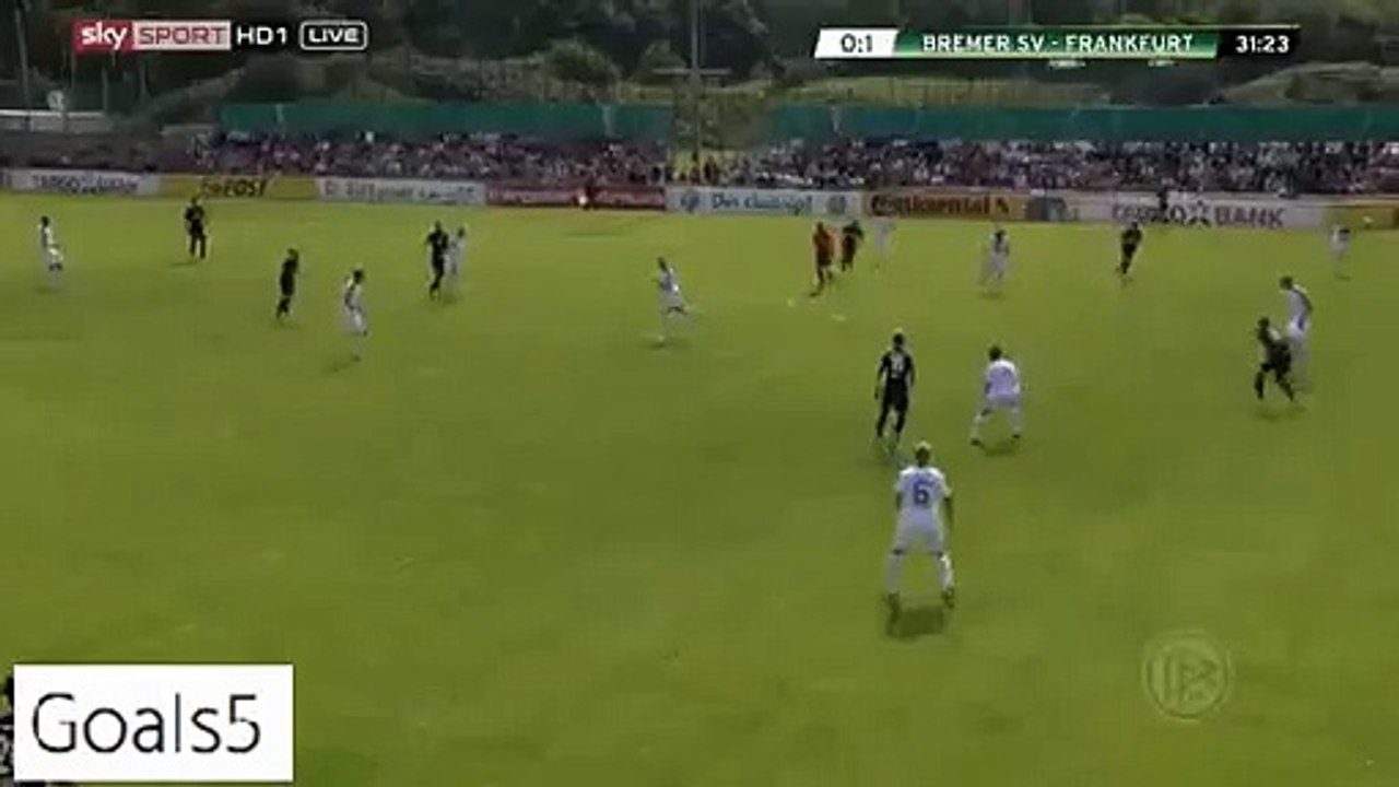 Luc Castaignos Goal Bremer 0 - 1 Frankfurt DFB Pokal 8-8-2015