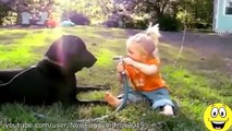 Funny Videos Babies Laughing at Dogs Cute dog baby compilation