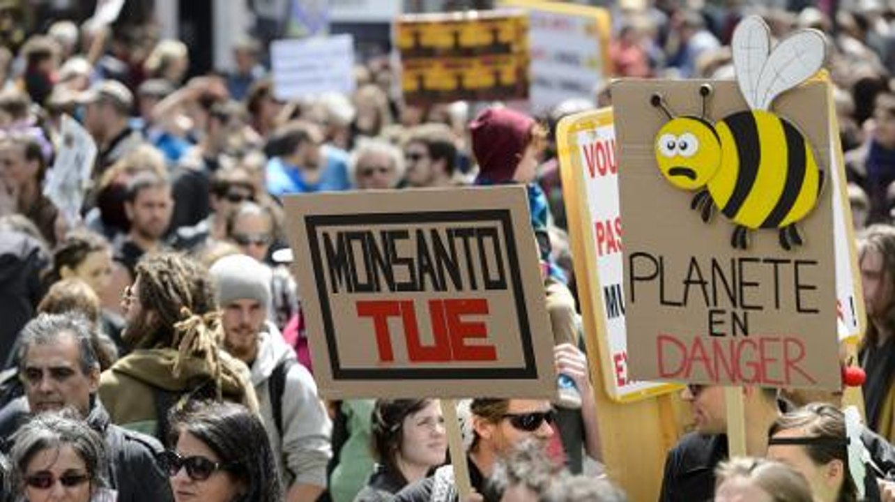 Counting the Cost - Bees in jeopardy: The real cost of pesticides