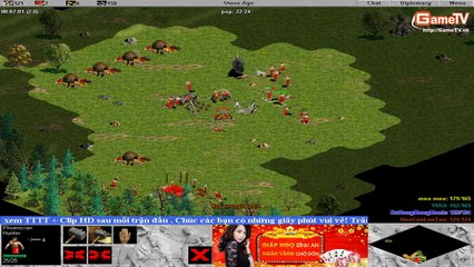 AOE VONG BANG 1 16 TBL TOM  21 12 2013 T3