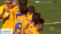 Hendrick Zuck Goal Hallescher 0 - 1 Braunschweig DFB Pokal 8-8-2015