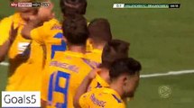 Hendrick Zuck Goal Hallescher 0 - 1 Braunschweig DFB Pokal 8-8-2015